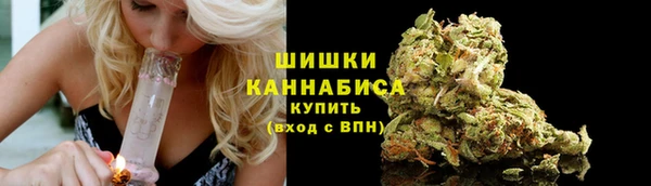 PSILOCYBIN Инсар