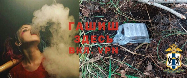 PSILOCYBIN Инсар