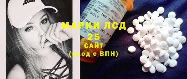 PSILOCYBIN Инсар